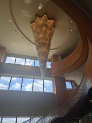 -上海明天广场JW万豪酒店·宴会厅