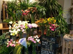 -植物学家的女儿(北马道巷店)