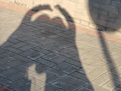 -北京师范大学附属中学