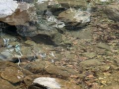 -宁波五龙潭景区