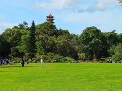 -深圳仙湖植物园