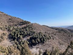 -北京西山国家森林公园