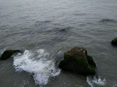 -海驴岛(荣成市)