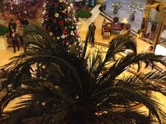 iphone_upload_pic-上海古象大酒店