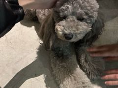 -仙林中心(地铁站)
