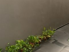 -耳妃躺式采耳SPA馆