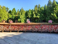 -龙口南山旅游景区