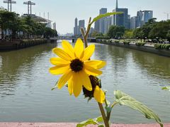 -海心沙亚运公园