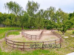 -圣露庄园·露营·烤肉·亲子