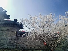 -花戏楼