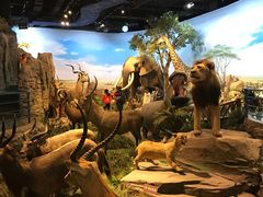 -陕西自然博物馆