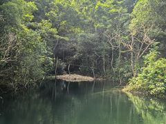 -牛鱼嘴原始生态风景区