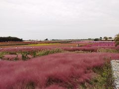 -江苏三台山国家森林公园