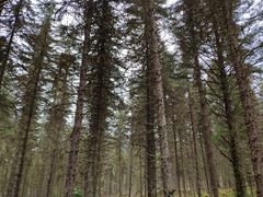 -硗碛藏寨·神木垒景区