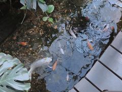 -上海大自然野生昆虫馆(东方明珠·爬宠昆虫探索中心)