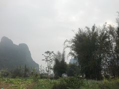 -明仕田园