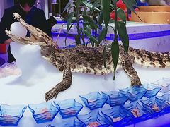 -澜悦港海鲜体验主题餐厅