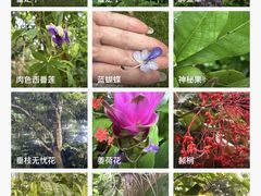 -中国科学院西双版纳热带植物园