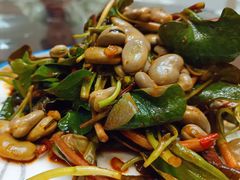 -胖大姐黄辣丁鱼庄(新津店)