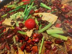 -老板恋上鱼(恒隆广场店)