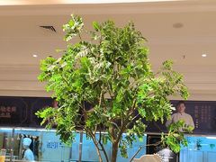 -锦粤宫·精致粤菜(深圳北站店)