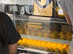 -猫的魔法密林(衣裳街店)