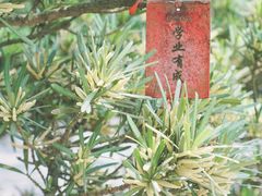 -上海方塔园