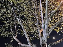 -物美超市(下沙店)