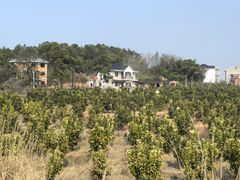 -鄱阳湖国家湿地公园