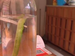 -北京食堂·烤鸭·宵夜(亚运村店)