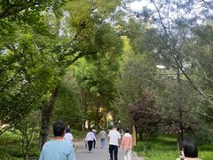 -丰台花园