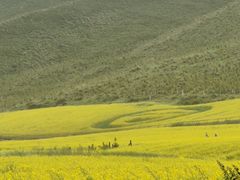 -扁都口生态休闲旅游区