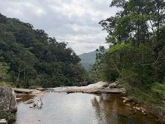 -海南热带雨林国家公园吊罗山景区