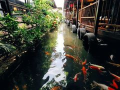 -优之名鹅城