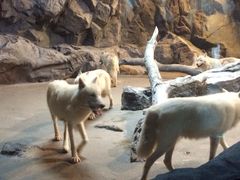 -广东省拱北口岸中国旅行社(华宾营业部)