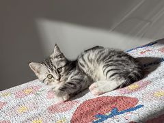 -宠颐生·恒爱宠物医院(静海店)