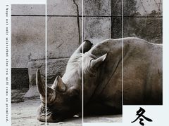 -成都动物园