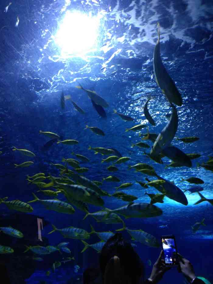 时隔四年带娃过来,2013年春节期间,唐山户口订票有优惠.