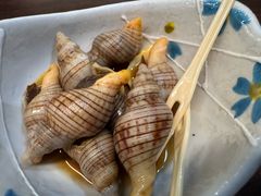 -黑松白鹿(金融街店)