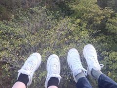 -富斯特索道