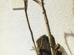 -漫笙舍Manse·咖啡·民宿