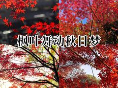 -尚贤河湿地