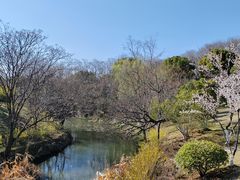 -羊山湖公园