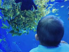 -波塞冬旅游度假区