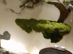 -揽季锅物会.福建黄鱼.海鲜姿造(五四路店)