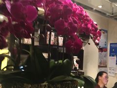 大堂-八分饱·西津会(西津渡店)