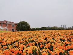 -南京眼步行桥