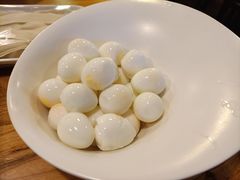 -老诚一锅羊蝎子(黄寺大街店)