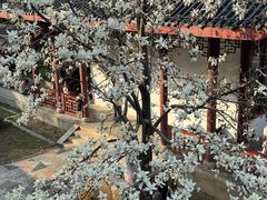 -堤角公园