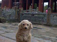 -报恩寺(平武县)